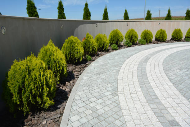 Best Decorative Driveway Pavers  in Coalinga, CA
